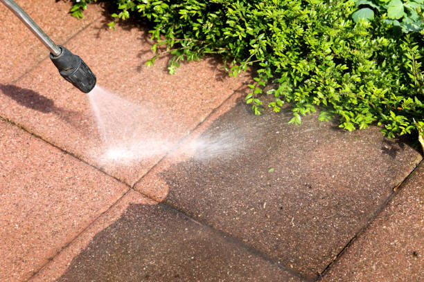 Best Power Washing Near Me  in Loop, PA