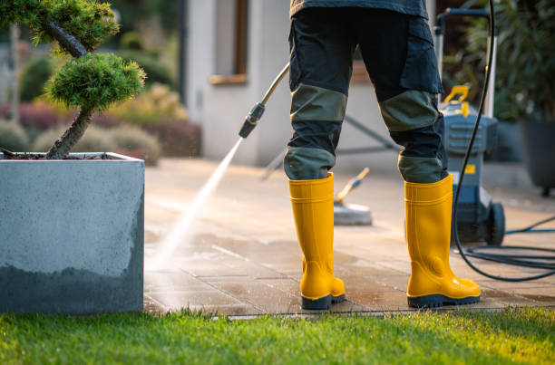 Best Affordable Pressure Washing  in Loop, PA